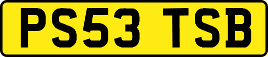 PS53TSB
