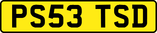 PS53TSD