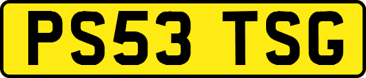 PS53TSG