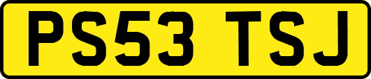 PS53TSJ