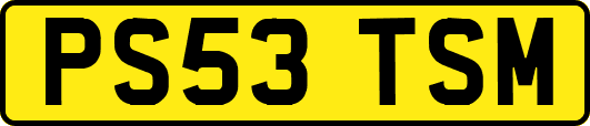 PS53TSM