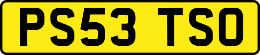 PS53TSO