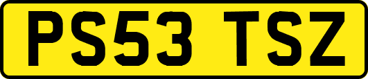 PS53TSZ