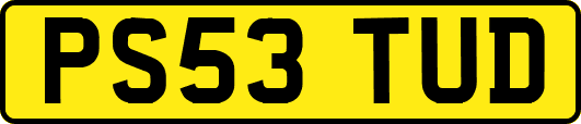 PS53TUD