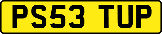 PS53TUP