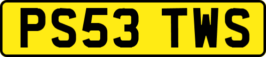 PS53TWS
