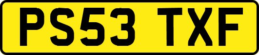 PS53TXF