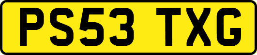 PS53TXG
