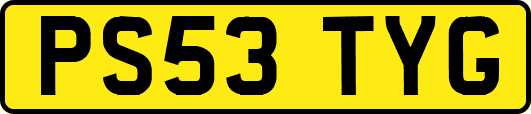 PS53TYG
