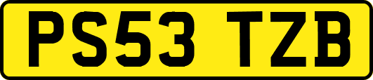 PS53TZB