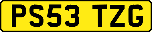 PS53TZG