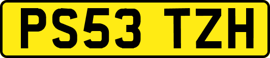 PS53TZH