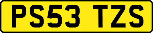 PS53TZS