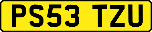 PS53TZU
