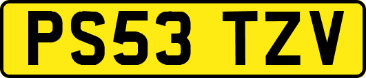 PS53TZV