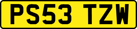 PS53TZW