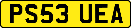 PS53UEA