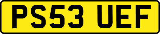 PS53UEF