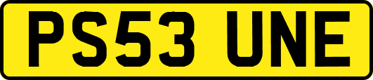 PS53UNE