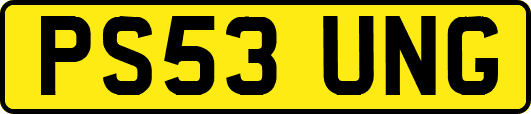 PS53UNG