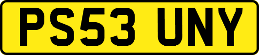 PS53UNY