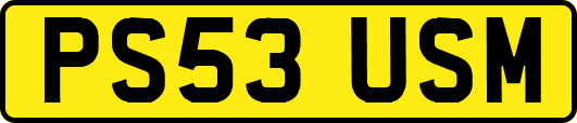 PS53USM