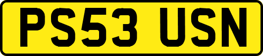 PS53USN