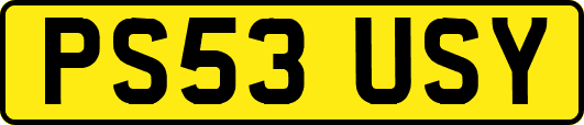 PS53USY