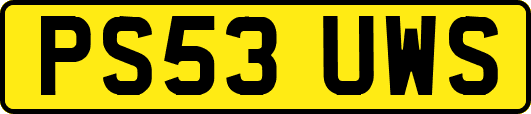 PS53UWS