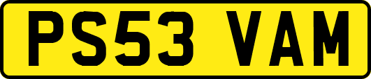 PS53VAM