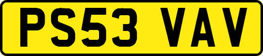 PS53VAV