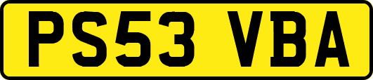 PS53VBA