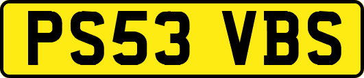 PS53VBS