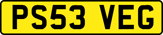 PS53VEG