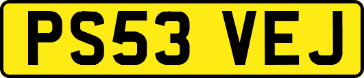 PS53VEJ