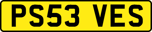 PS53VES
