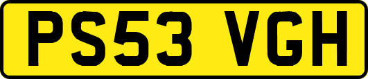 PS53VGH