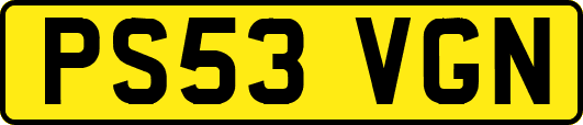 PS53VGN