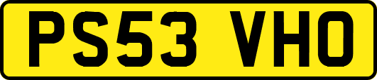 PS53VHO