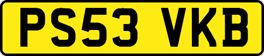 PS53VKB