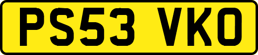 PS53VKO