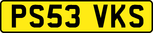 PS53VKS