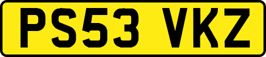 PS53VKZ