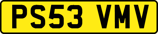 PS53VMV