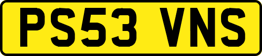 PS53VNS
