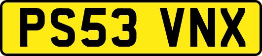PS53VNX