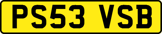 PS53VSB