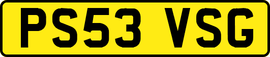 PS53VSG