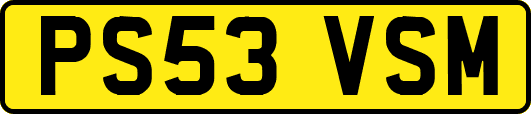 PS53VSM