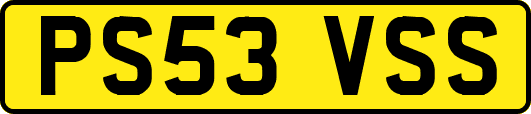 PS53VSS